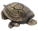 Turtle (Mud)